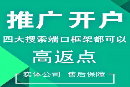 信息流广告成功案例分析